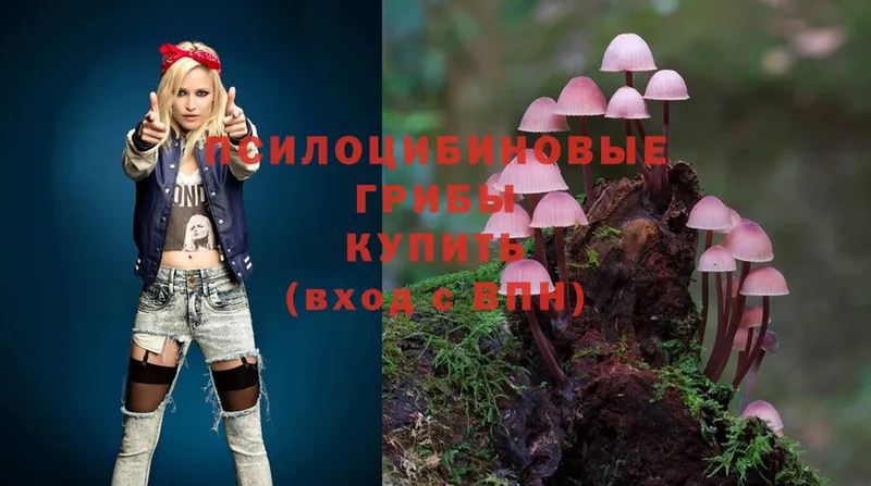 Галлюциногенные грибы MAGIC MUSHROOMS  закладка  Нолинск 